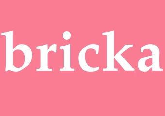 Synonym bricka