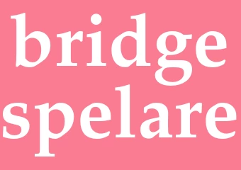 Synonym bridgespelare