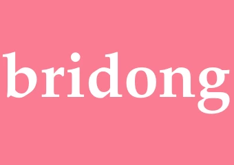 Synonym bridong