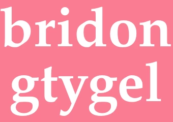 Synonym bridongtygel