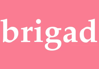 Synonym brigad