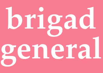 Synonym brigadgeneral