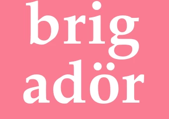 Synonym brigadör