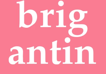 Synonym brigantin