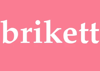 Synonym brikett
