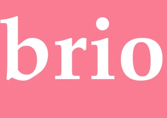 Synonym brio