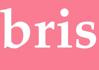 Synonym bris