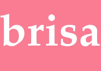 Synonym brisa