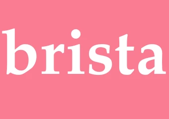 Synonym brista