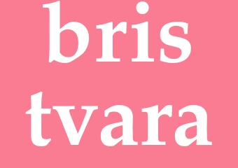Synonym bristvara