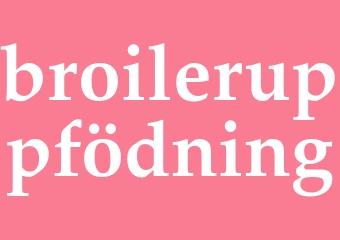 Synonym broileruppfödning