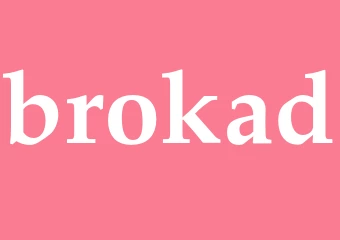 Synonym brokad