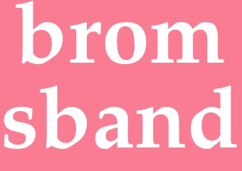 Synonym bromsband