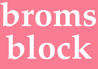 Synonym bromsblock