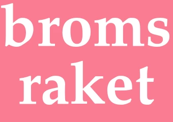 Synonym bromsraket