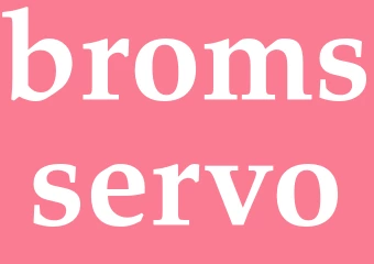 Synonym bromsservo