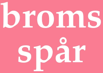 Synonym bromsspår