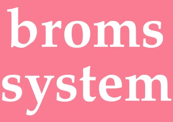 Synonym bromssystem