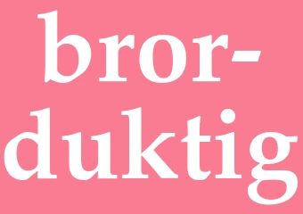 Synonym bror duktig
