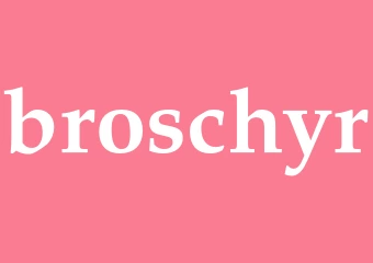 Synonym broschyr