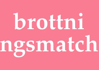 Synonym brottningsmatch