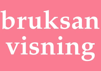 Synonym bruksanvisning