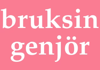 Synonym bruksingenjör