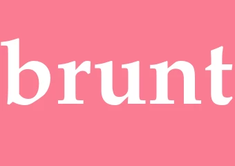 Synonym brunt