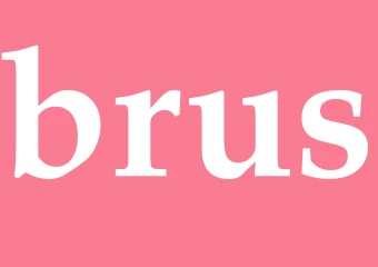 Synonym brus