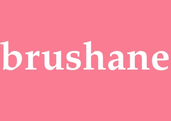 Synonym brushane
