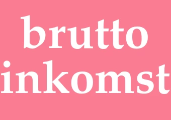 Synonym bruttoinkomst