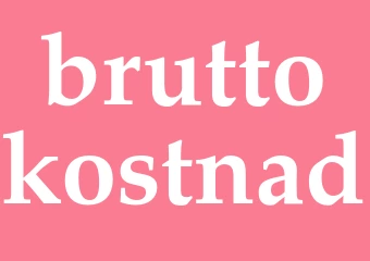 Synonym bruttokostnad