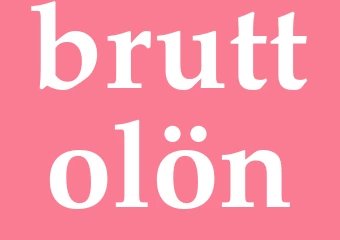 Synonym bruttolön