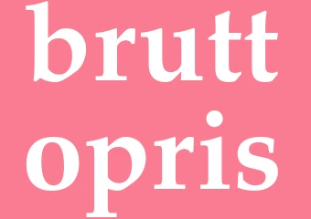 Synonym bruttopris