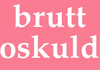 Synonym bruttoskuld