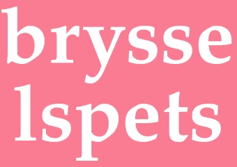 Synonym brysselspets