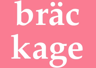 Synonym bräckage