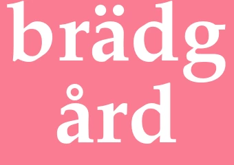 Synonym brädgård