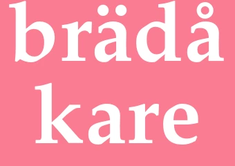 Synonym brädåkare