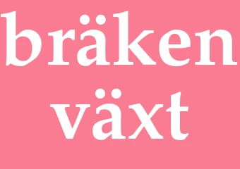 Synonym bräkenväxt