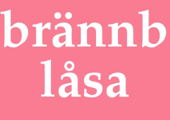 Synonym brännblåsa