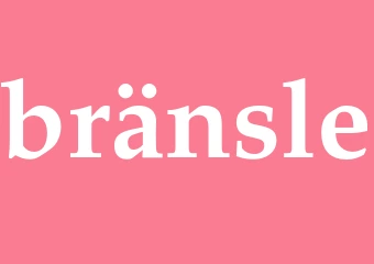 Synonym bränsle