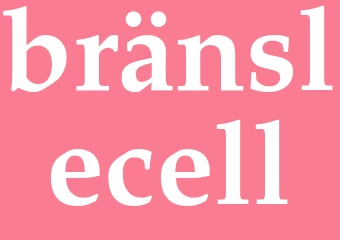 Synonym bränslecell