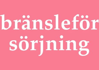 Synonym bränsleförsörjning