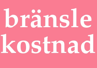 Synonym bränslekostnad
