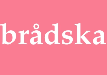 Synonym brådska
