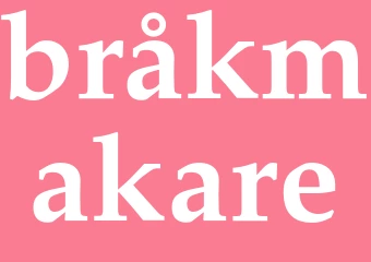 Synonym bråkmakare
