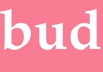 Synonym bud