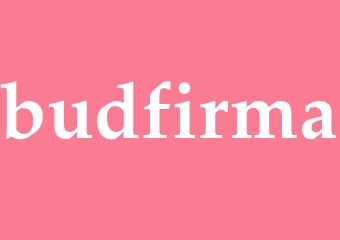 Synonym budfirma