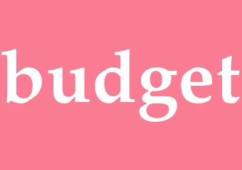Synonym budget